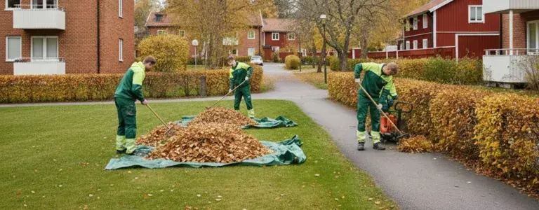 Höst- och vårstädning av utemiljö i Stockholms län