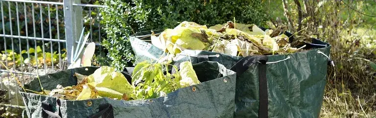 Bortforsling av trädgårdsavfall i Stockholms län